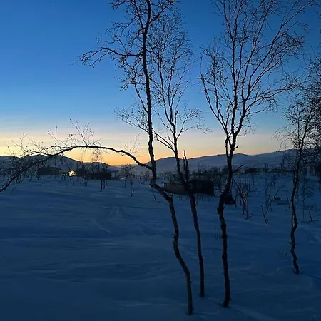 I Bjornlia, Skaidi * Hammerfest